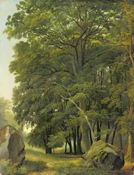 Paysage boisé